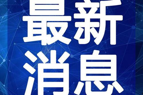 豆瓣爆料王朔视频大全最新,王朔视频大全，独家爆料尽在其中！
